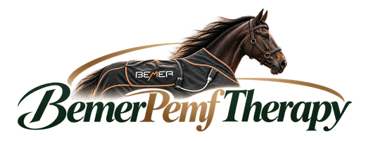 Bemer Pemf Therapy