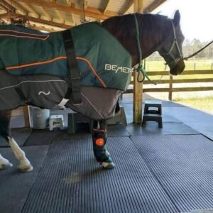 BEMER Horse Set – Like New Blanket & Leg Cuffs