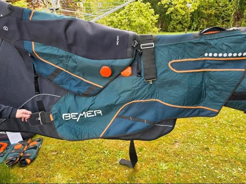 BEMER Horse Set – Complete Equine PEMF System