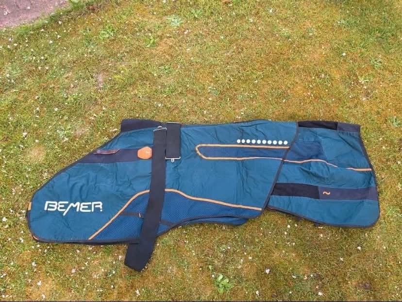 BEMER Horse Set – Complete Equine PEMF System