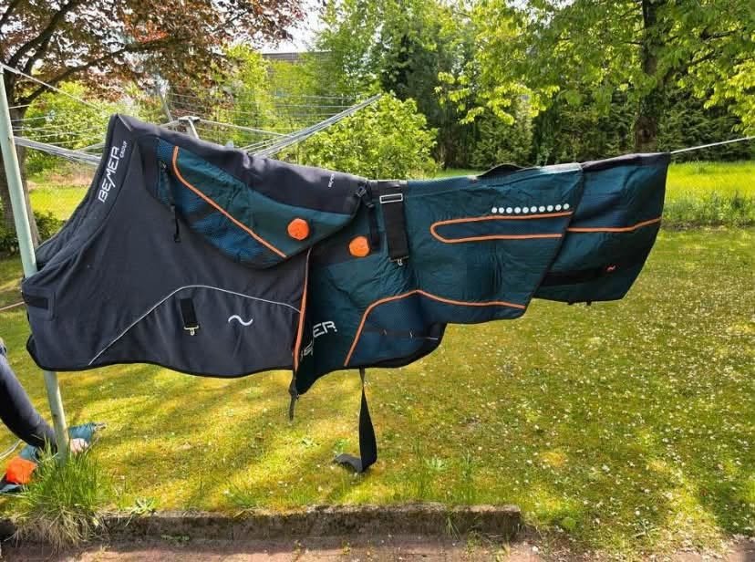 BEMER Horse Set – Complete Equine PEMF System