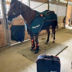 BEMER Horse Set – Blanket, Leg Cuffs & Sweat Blanket