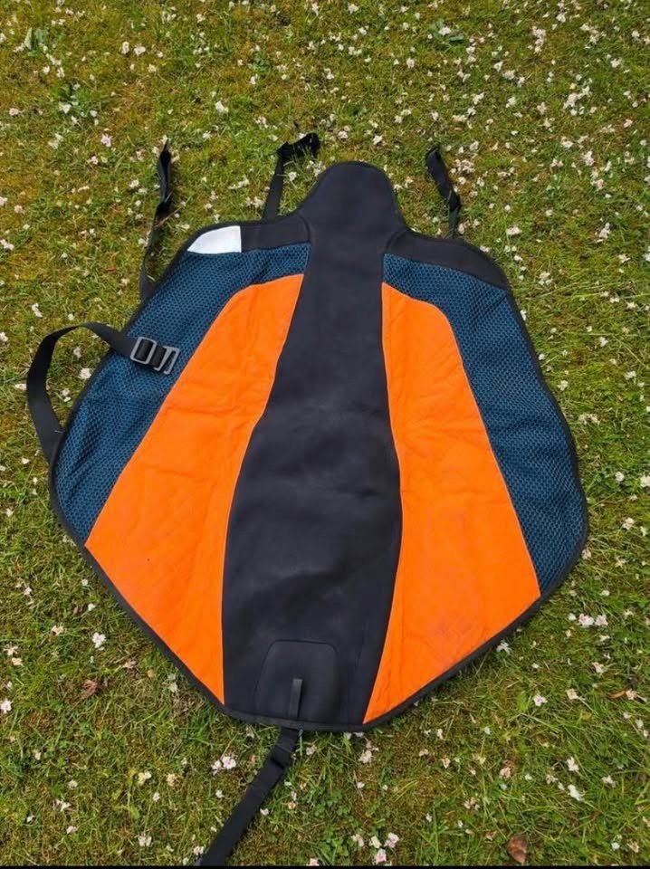 BEMER Horse Set – Complete Equine PEMF System