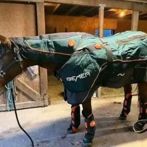 BEMER Horse Set – Excellent Condition