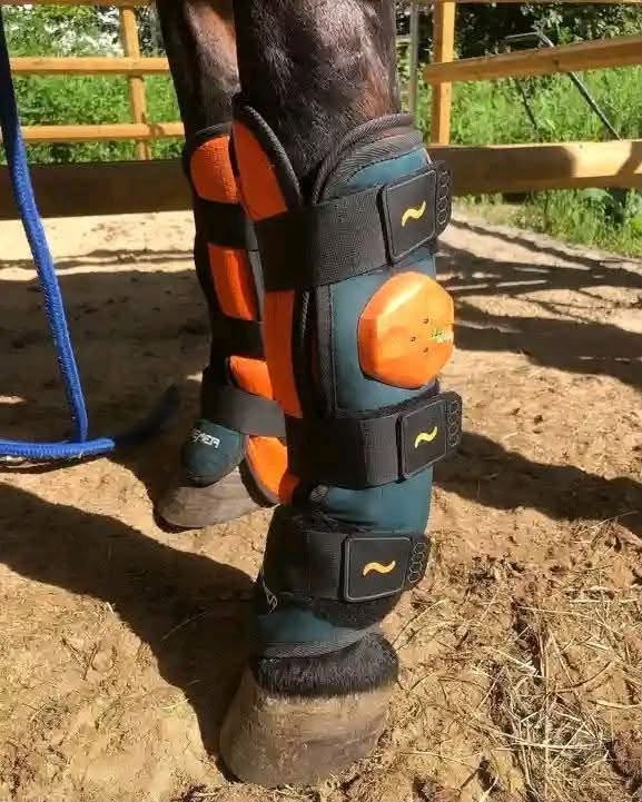 BEMER Horse Set – Excellent Condition