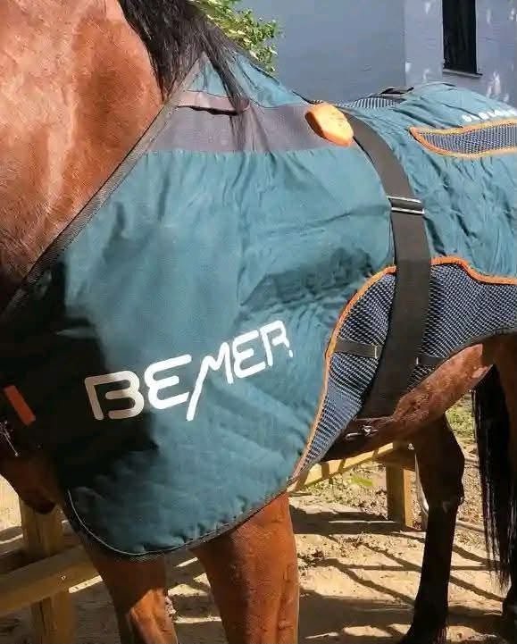 BEMER Horse Set – Excellent Condition