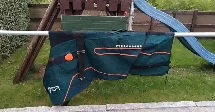 BEMER Horse Set – Excellent Condition