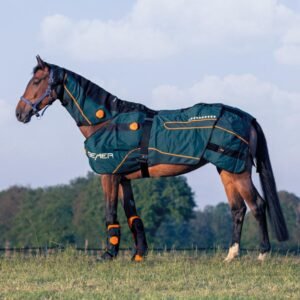 BEMER Horse Premium