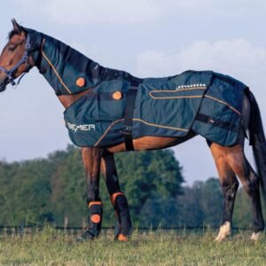 BEMER Horse Premium